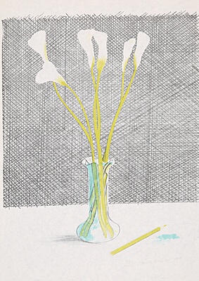 David Hockney, "Lillies",Scottish Arts Council 118