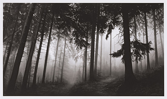 Robert Longo, "Forest of Doxa"