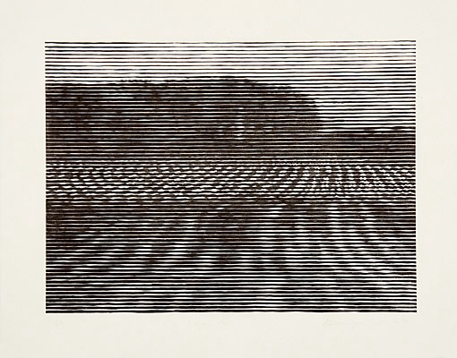 Christiane Baumgartner, "Gelände", Rümelin 169