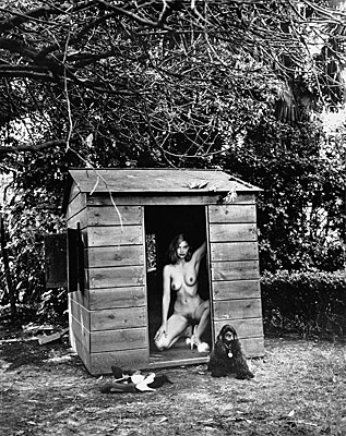 Helmut Newton, "Domestic Nude 7"