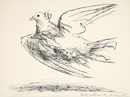 Pablo Picasso, "Le vol de la colombe", Bloch, Mourlot 0678, 192